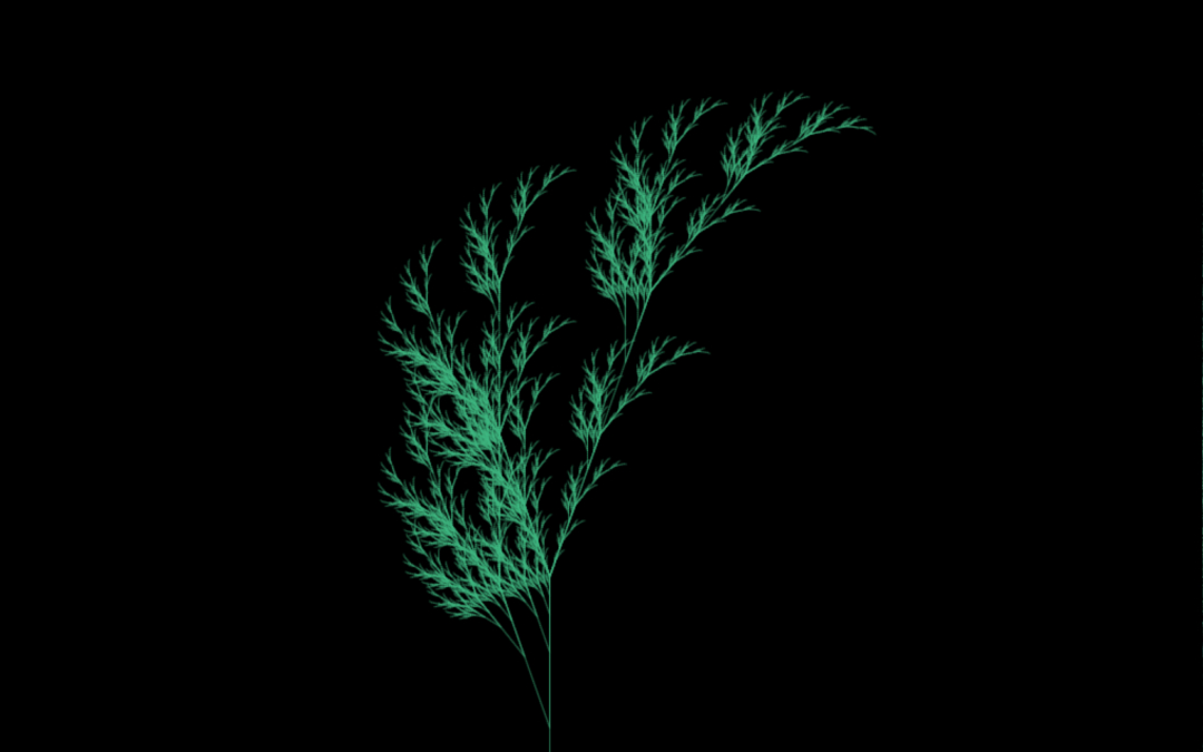 Creative-Coding-Arbeit CI-03: grüner Farn wächst auf schwarzem Grund